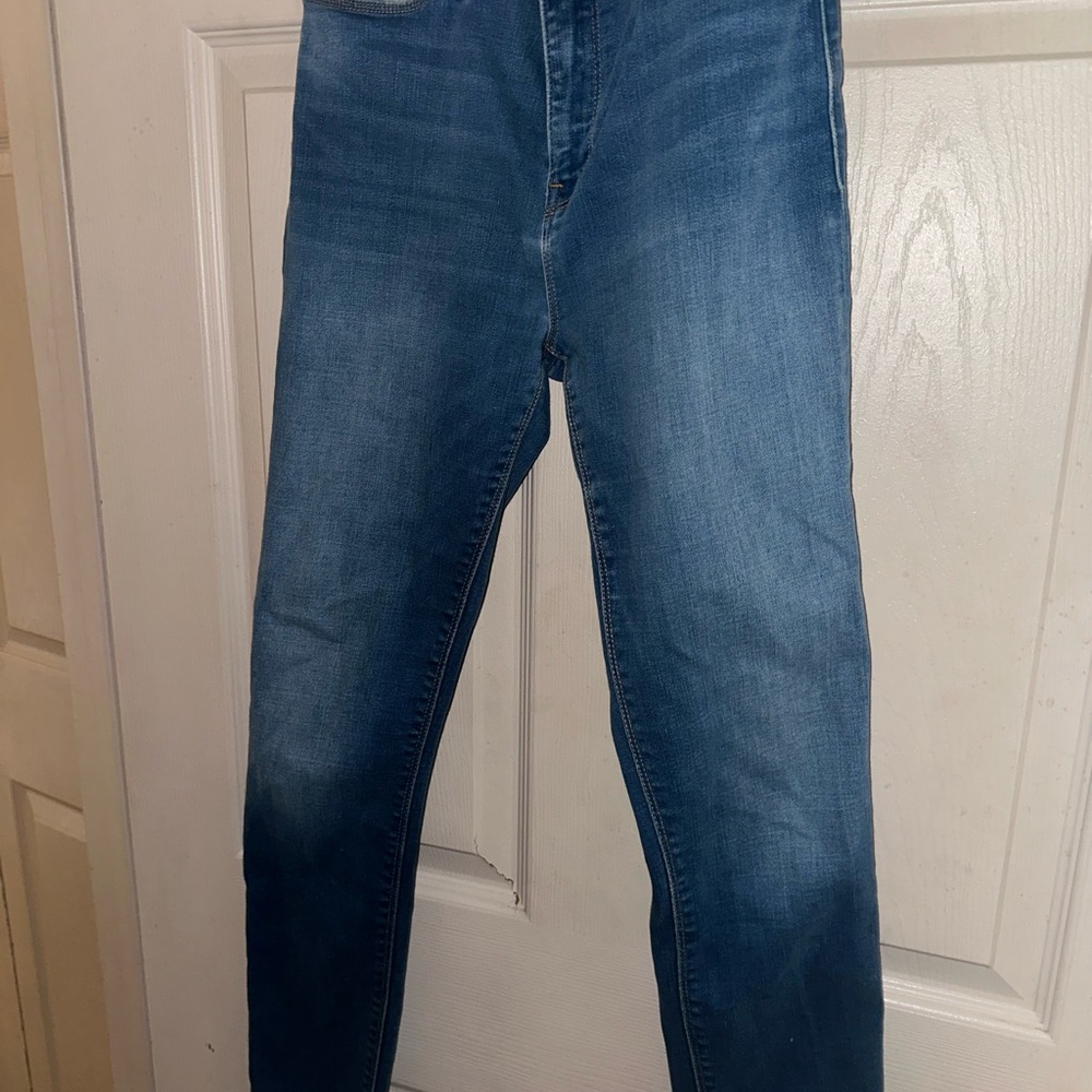 Hudson Jeans Blue Skinny Fit Denim